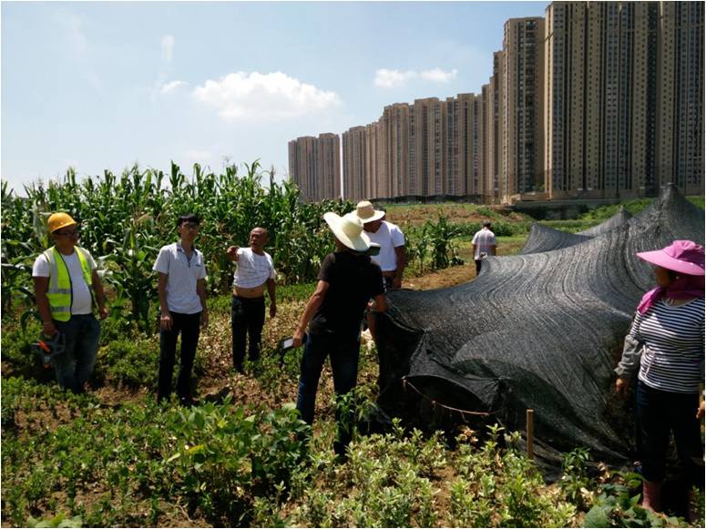 建設項目征地測量